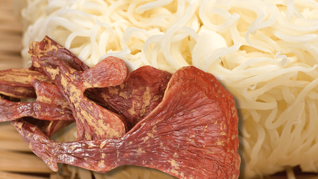 Can You Take Lion's Mane and Reishi Together? Tips & Possible Benefits